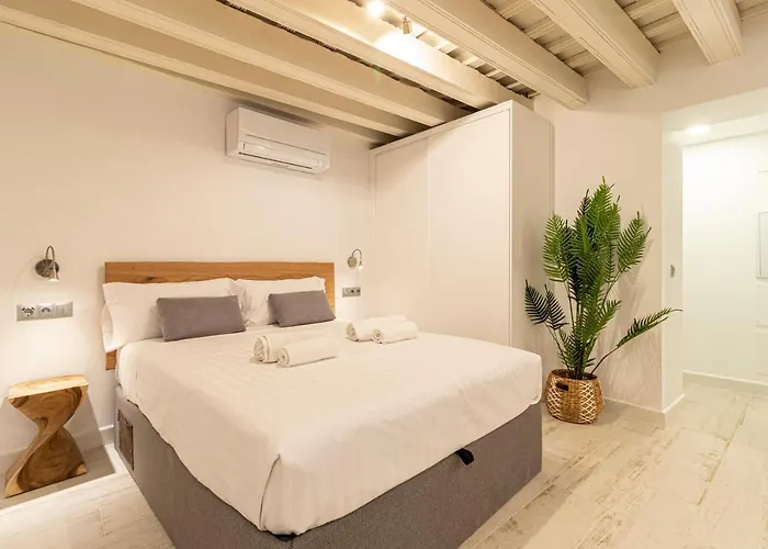 Allo San Roque 1ºc Cadiz